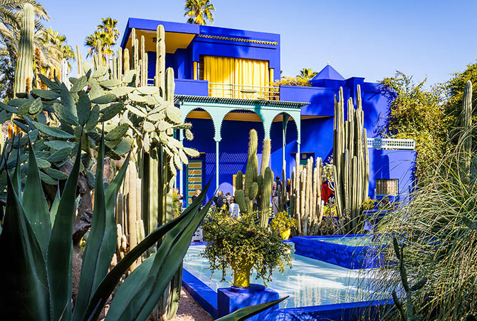 The cobalt-blue studio of the Jardin Majorelle behind cacti and agaves, with its pool in the foreground