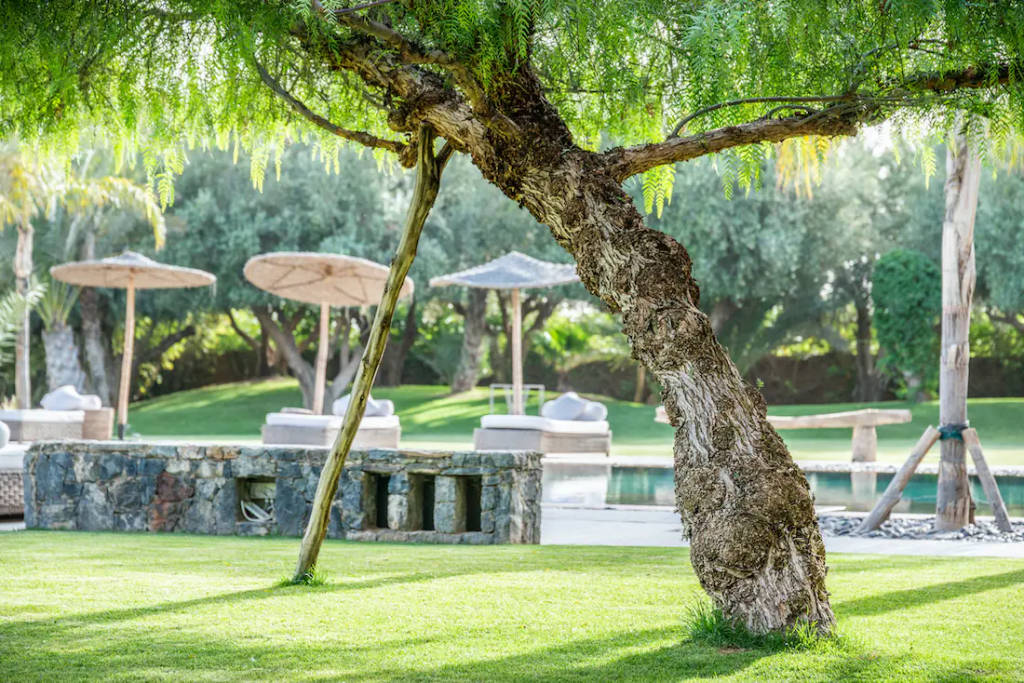 Villa Marhaba – photo 10