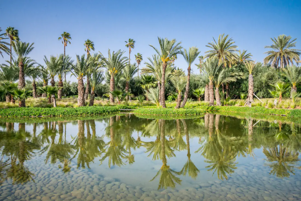 Villa Marhaba – photo 12