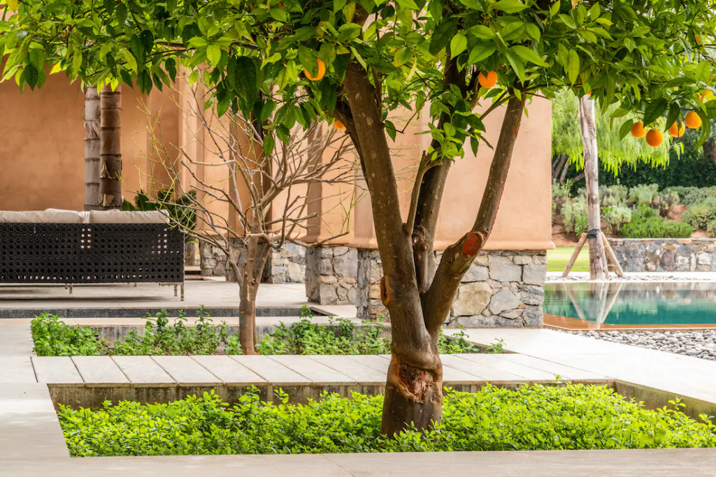 Villa Marhaba – photo 26