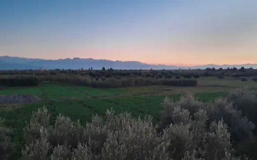 Top 5 Golf Courses in Marrakech You Must Play in 2026