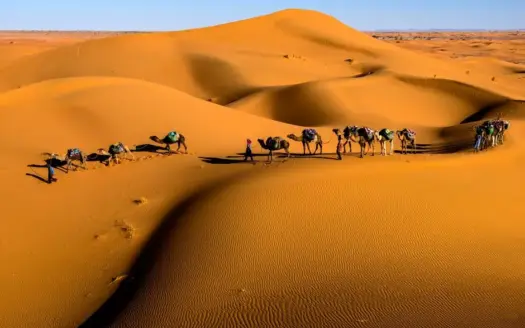 Family Travel to Morocco: Your 2026 Guide to Unforgettable Adventures