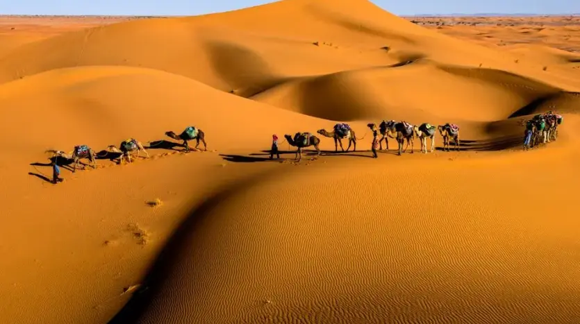 Family Travel to Morocco: Your 2026 Guide to Unforgettable Adventures
