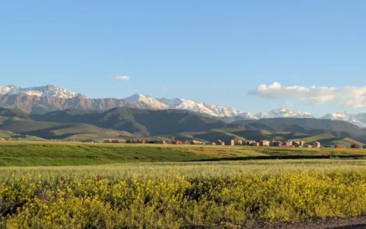 Green fields below the snow-capped Atlas in spring