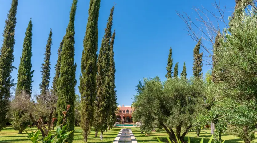 Cypress and olive garden of Palais Mauresque