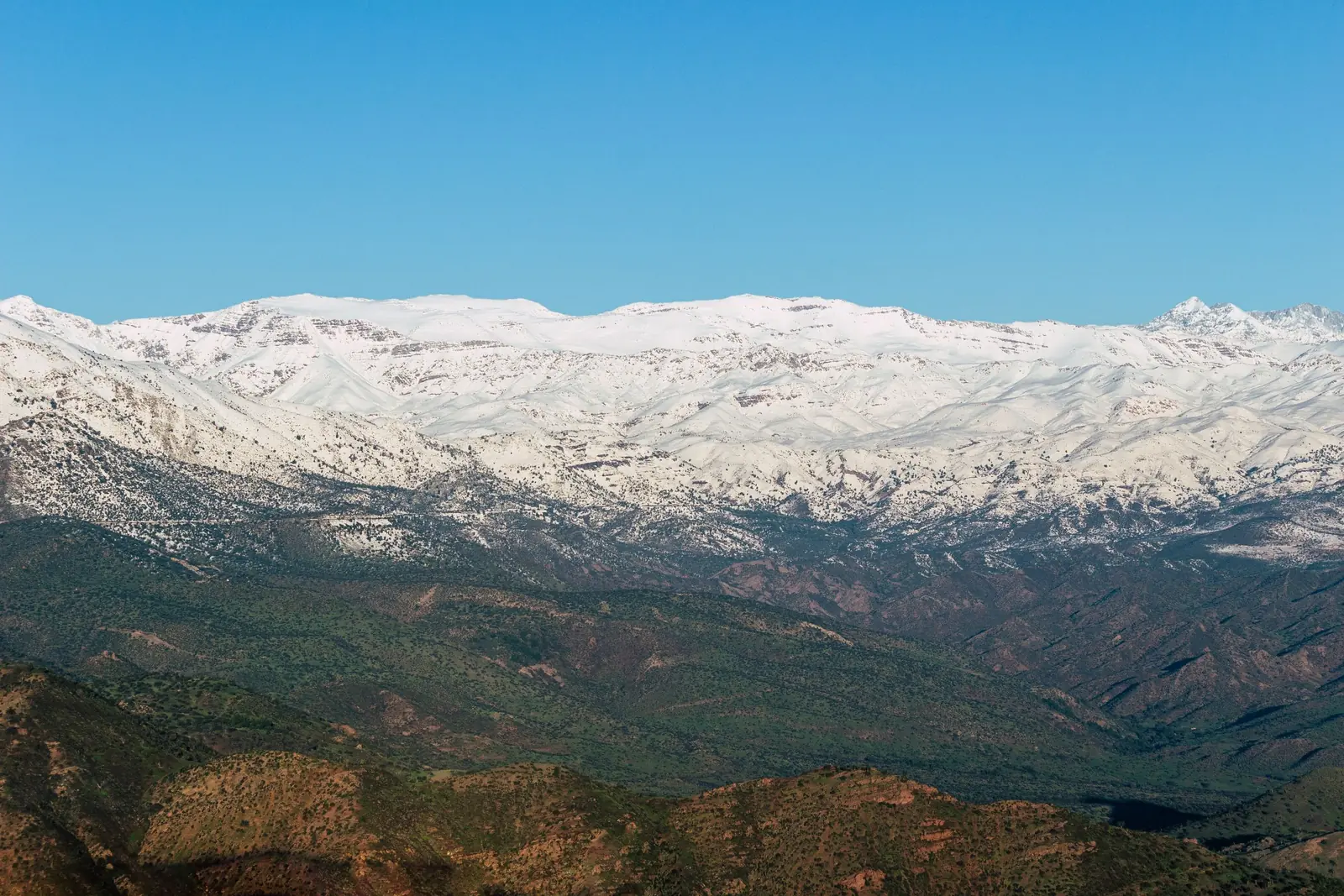Snow-capped Atlas mountain range above green foothills