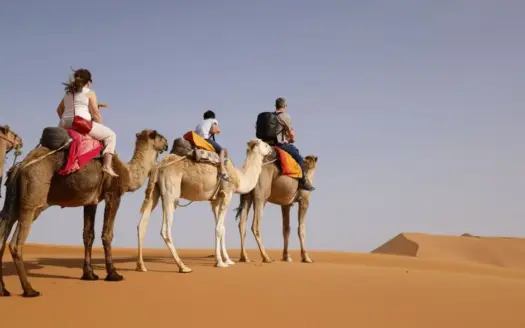 Family Travel to Morocco: A Complete Guide for 2026