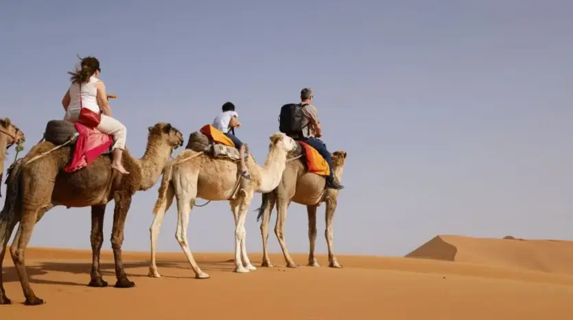 Family Travel to Morocco: Ultimate Guide for Memorable Adventures