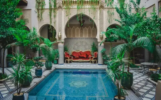 Riad courtyard garden with a pool and lush plants