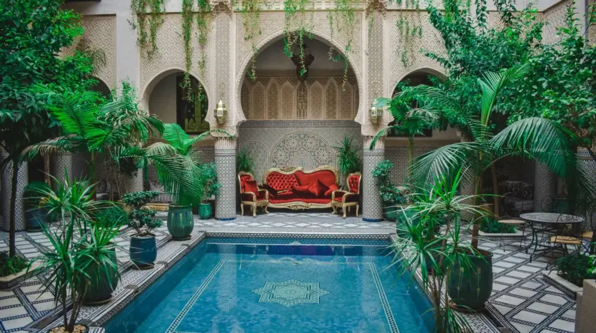 Riad courtyard garden with a pool and lush plants