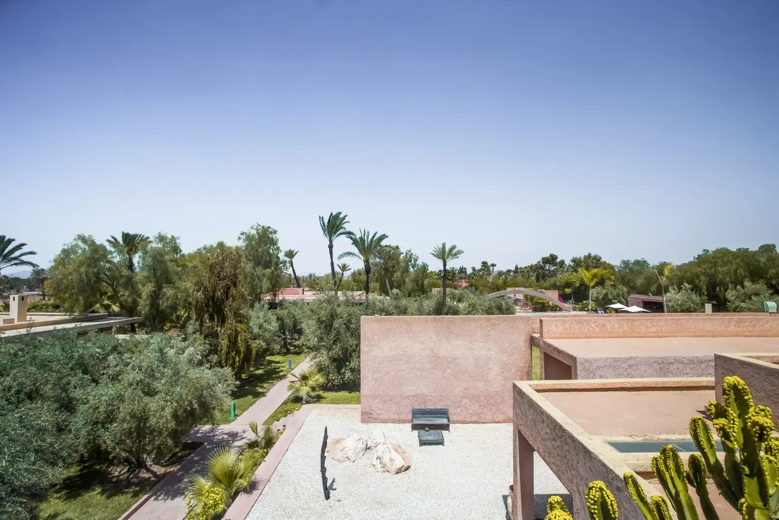 Vue sur les oliviers et les palmiers depuis la Villa Savannah
