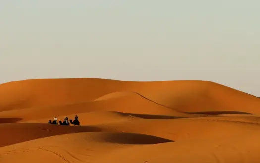 Camel caravan crossing orange Saharan dunes