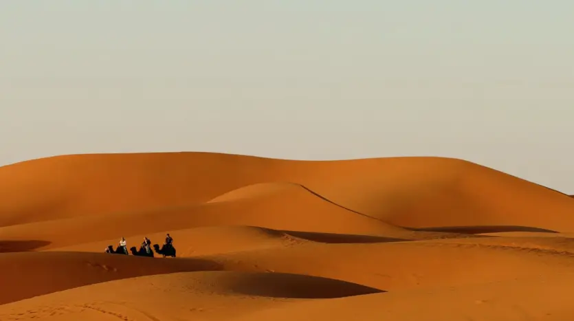Camel caravan crossing orange Saharan dunes