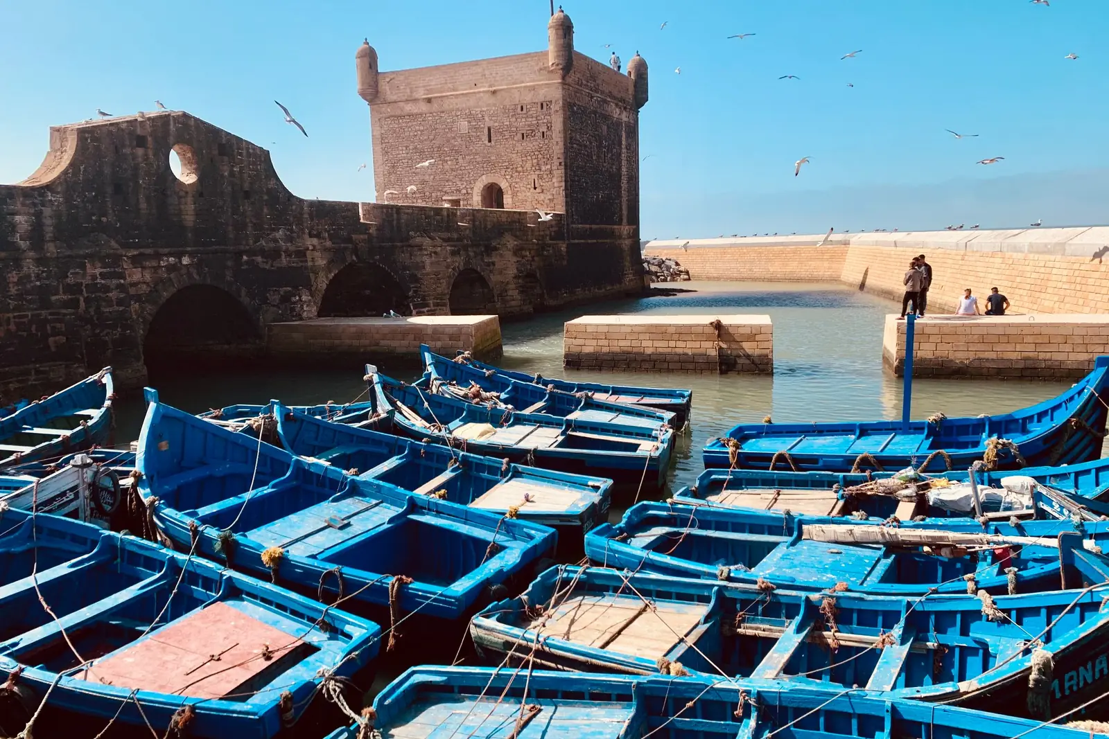 Blue fishing boats moored below the old sea fortress in Essaouira harbour