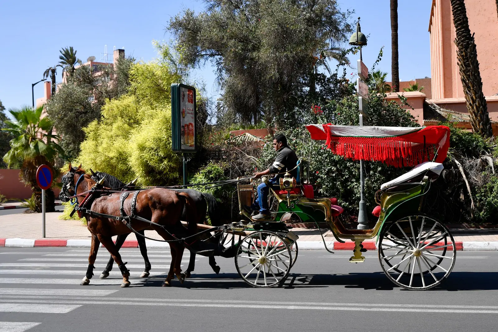 Horse-drawn calèche crossing a palm-lined avenue