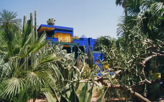 Jardin Majorelle 2026: Tickets, Tips & Must-See Highlights