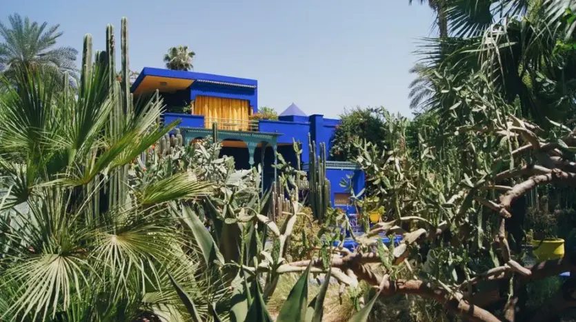 Jardin Majorelle 2026: Tickets, Tips & Must-See Highlights