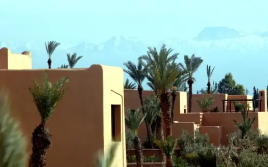 La Palmeraie, Marrakech: Top Palm Grove Hotels & Guide 2026
