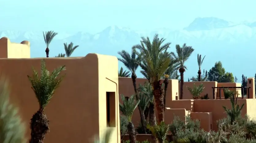 La Palmeraie, Marrakech: Top Palm Grove Hotels & Guide 2026
