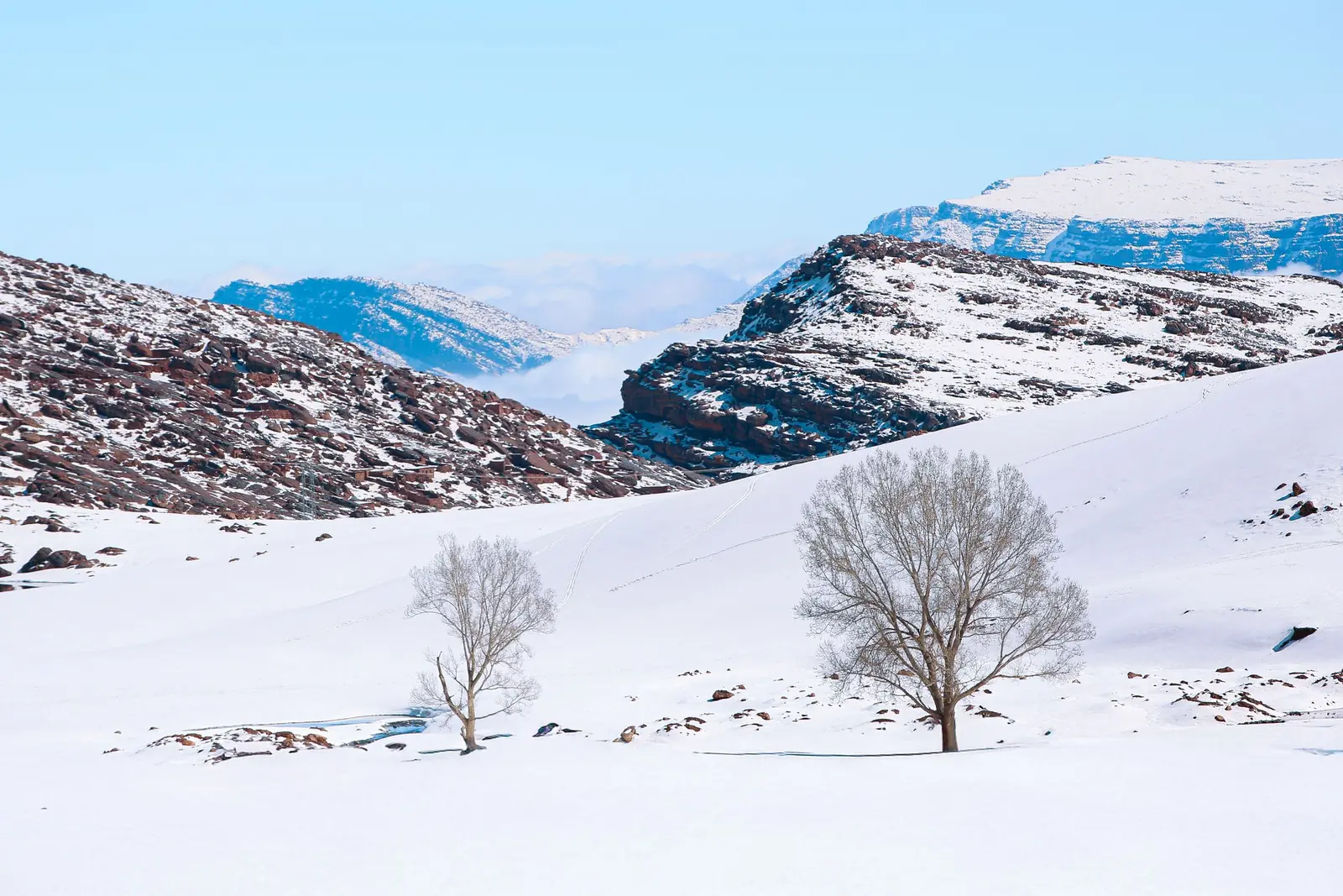 Snow-covered slopes and bare trees at Oukaïmeden in the High Atlas
