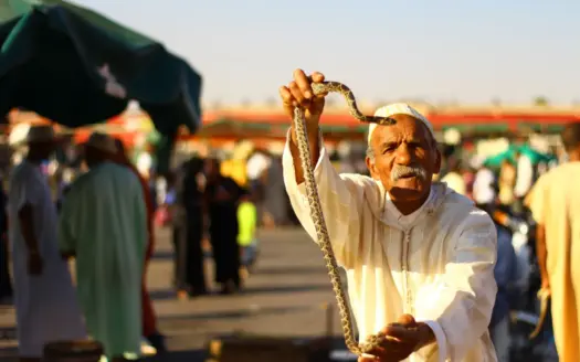 Snake charmer holding a snake in a busy square