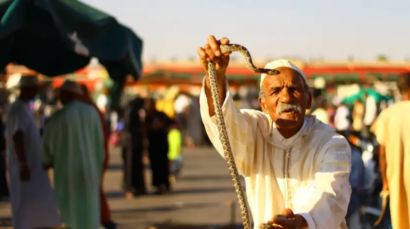 Snake charmer holding a snake in a busy square