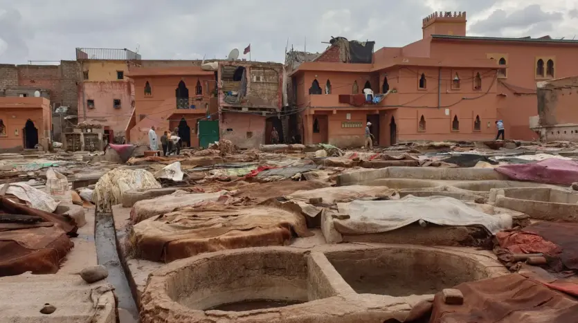 Tannery pits in the Marrakech medina