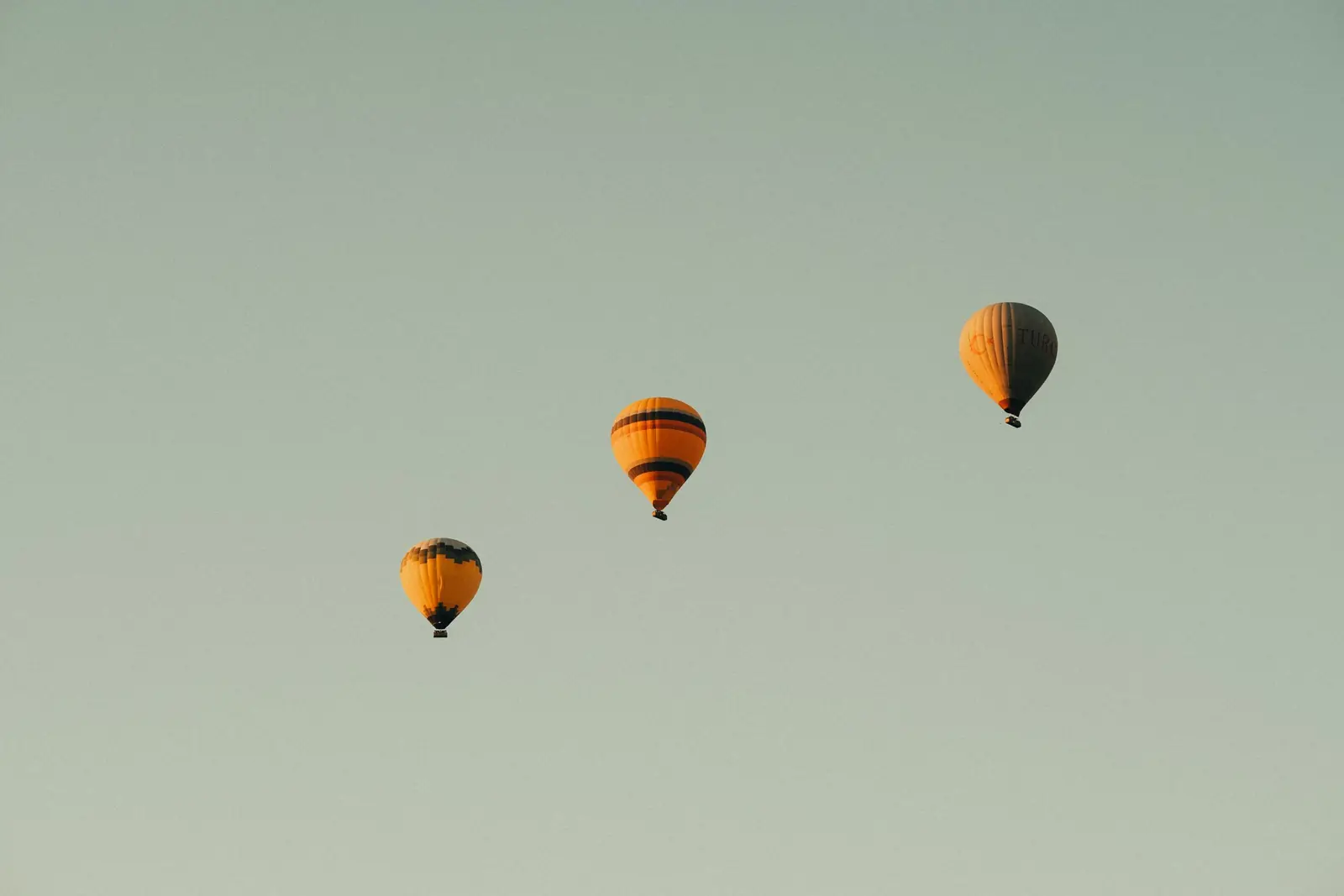 Three hot air balloons rising into the pale morning sky
