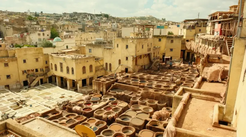 The Chouara tannery in the Fes medina, seen from a surrounding terrace