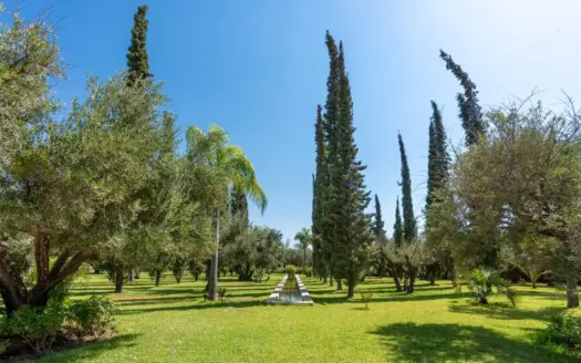 Lawn among olive and cypress trees in the garden of Palais Mauresque
