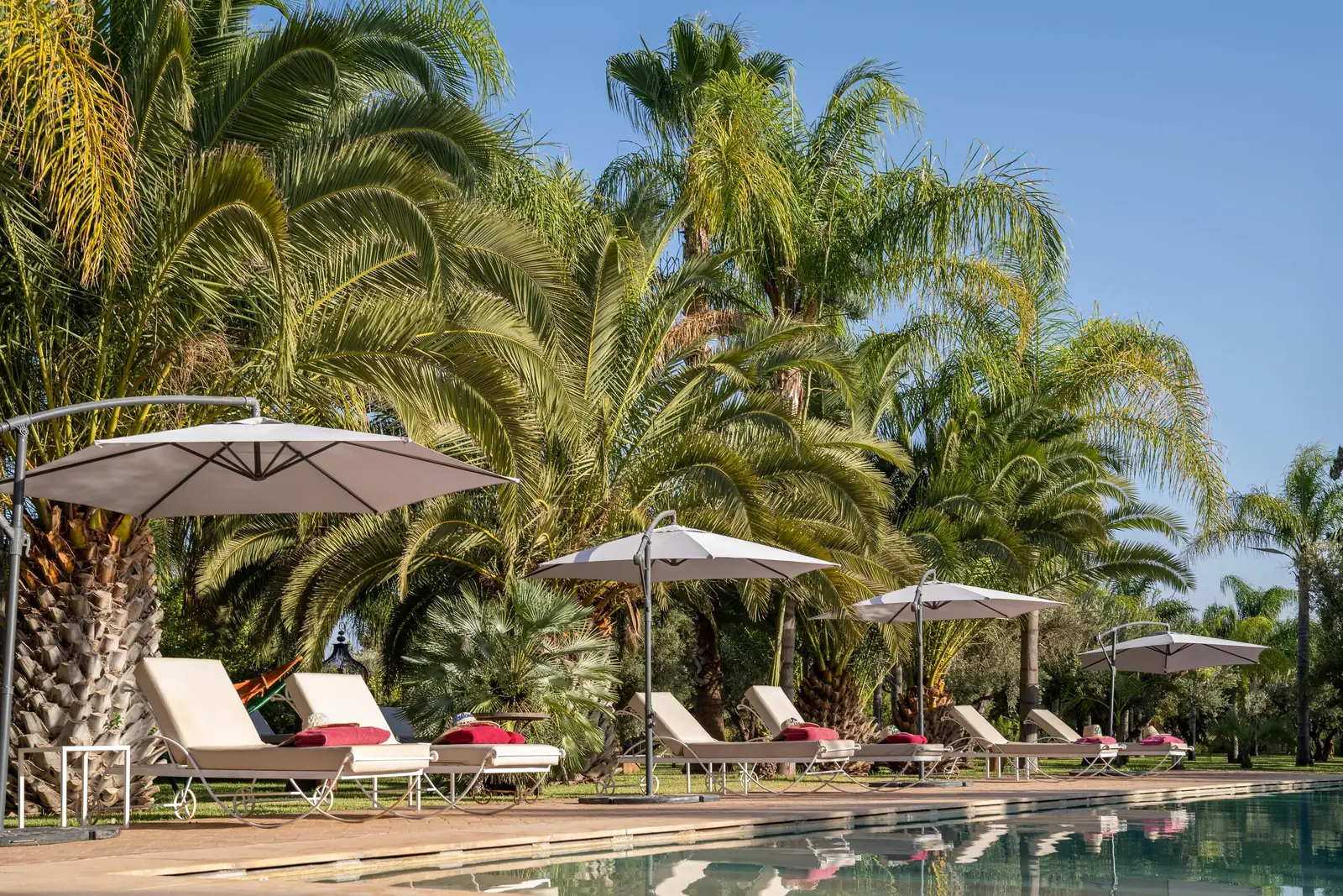 Loungers and parasols beside the pool at Palais Mauresque, among palm trees