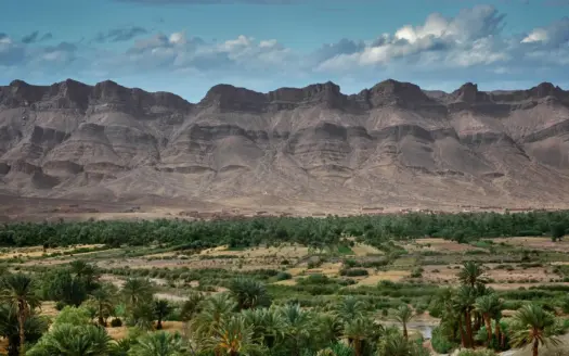 Palm oasis below arid mountains near Zagora