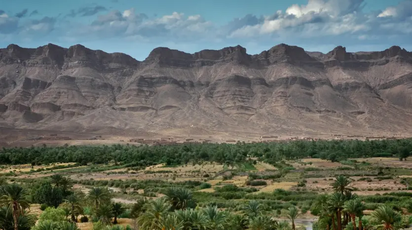 Palm oasis below arid mountains near Zagora