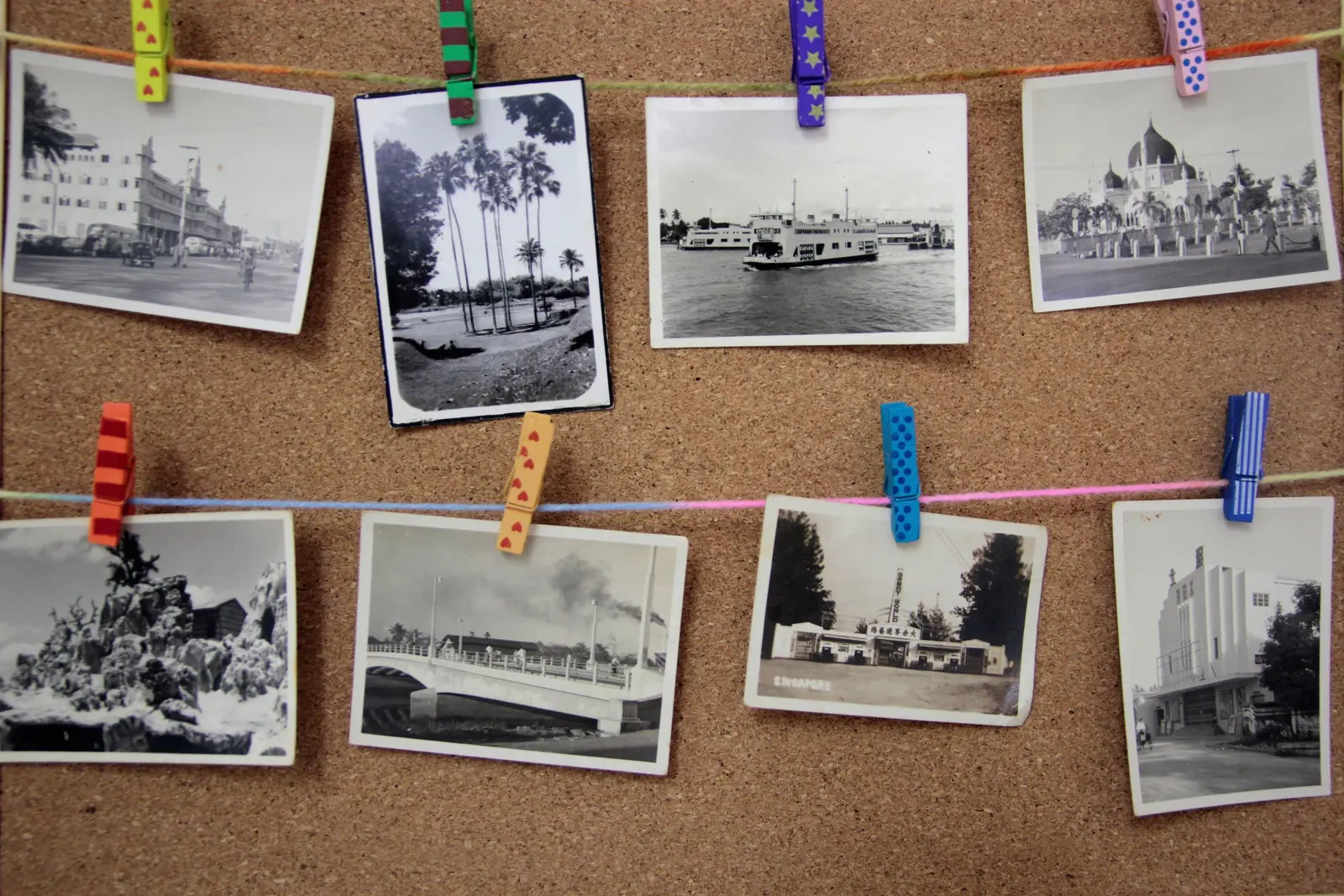 Old black-and-white photographs pinned to a board